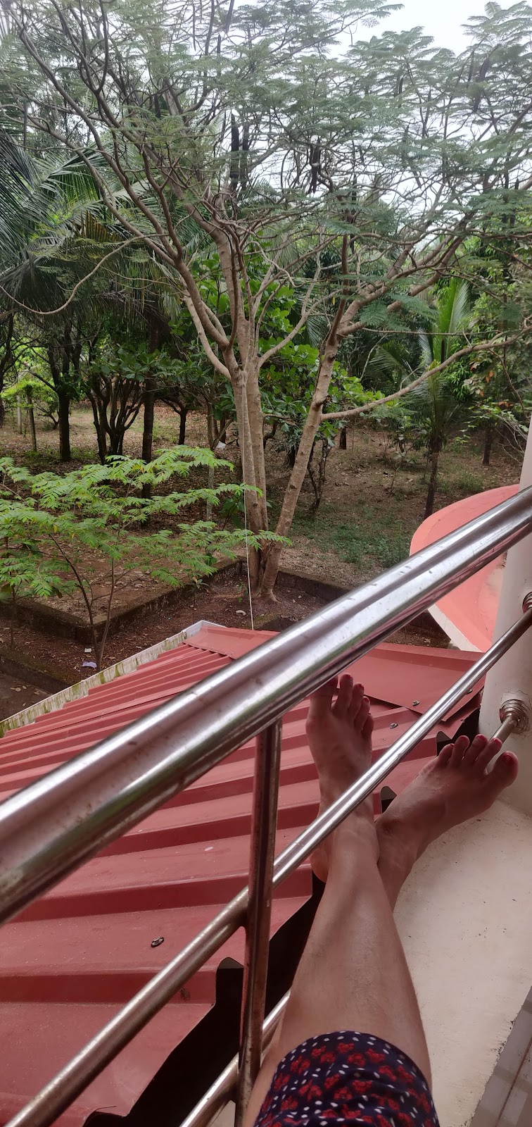 Fernhill Homestay travel photo