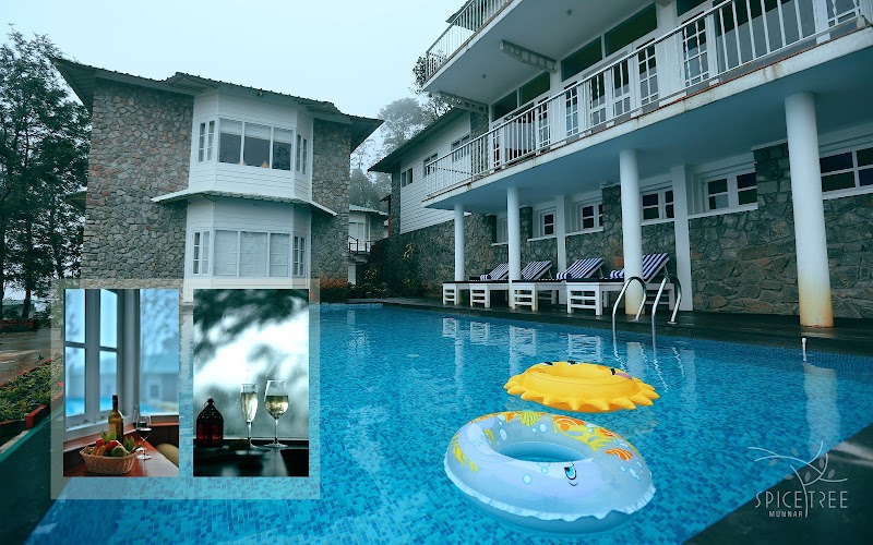 SpiceTree travel photo