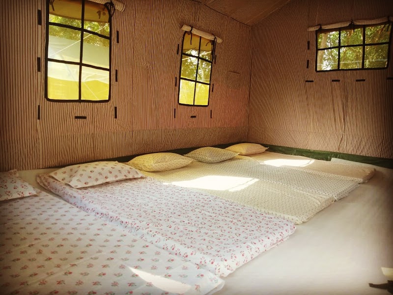 Hive Camping room