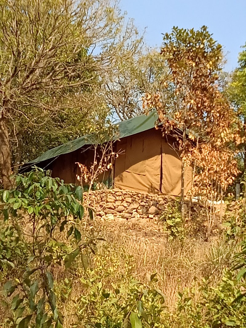 Hive Camping stay view