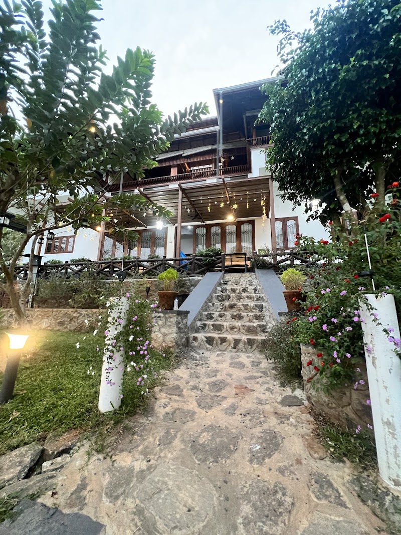 Joy's Paradise photo