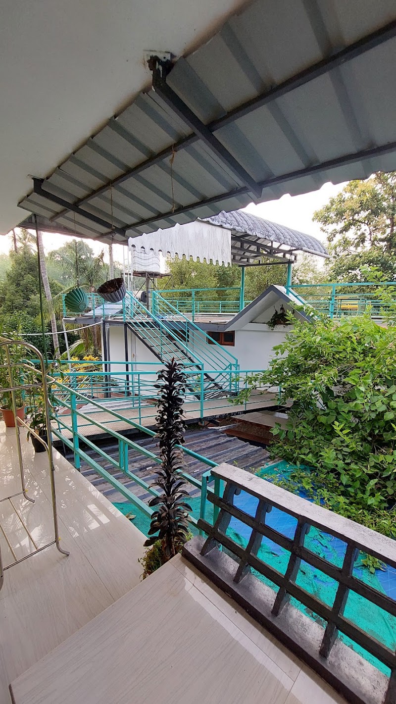 Jungle Bird stay view