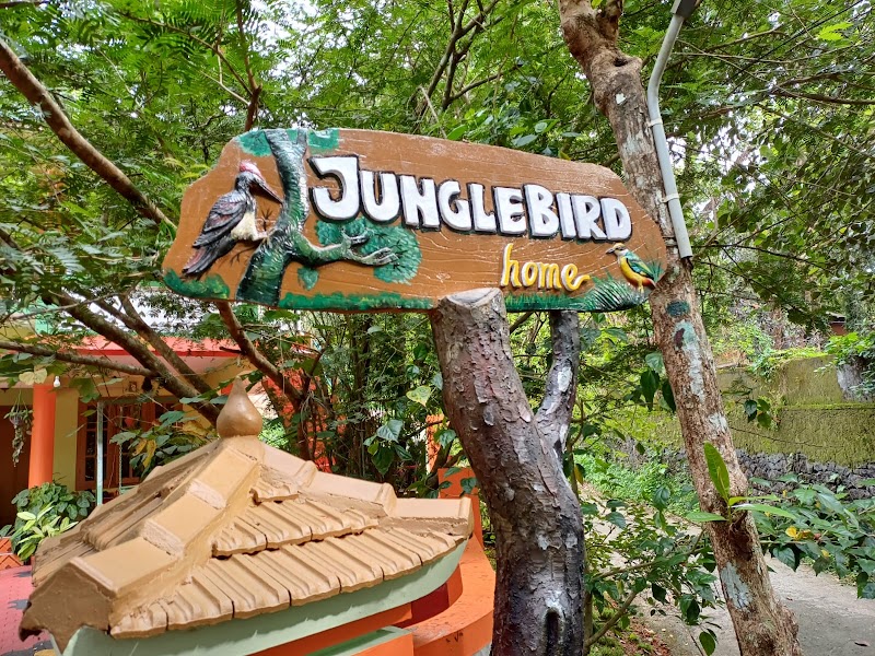 Jungle Bird travel photo