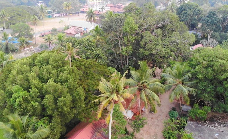 Green Earth Farm Stay property view