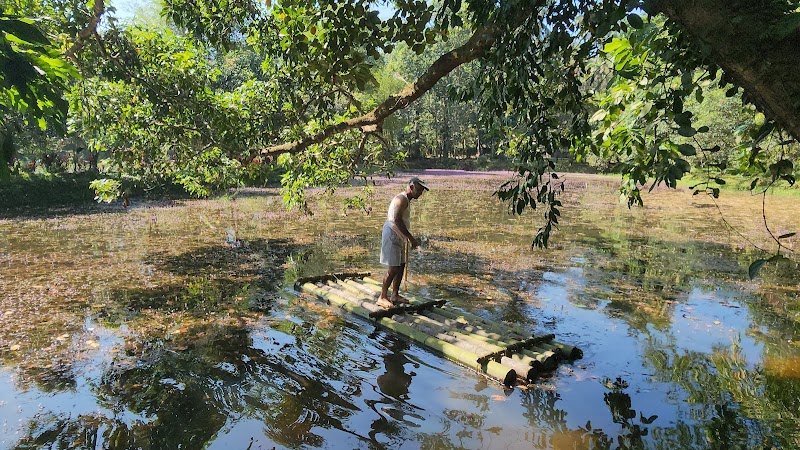 Blue Wings Homestay- Resort travel photo