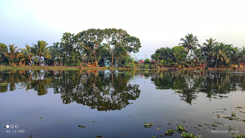 Our Land Island Backwater Boutique Resort stay view