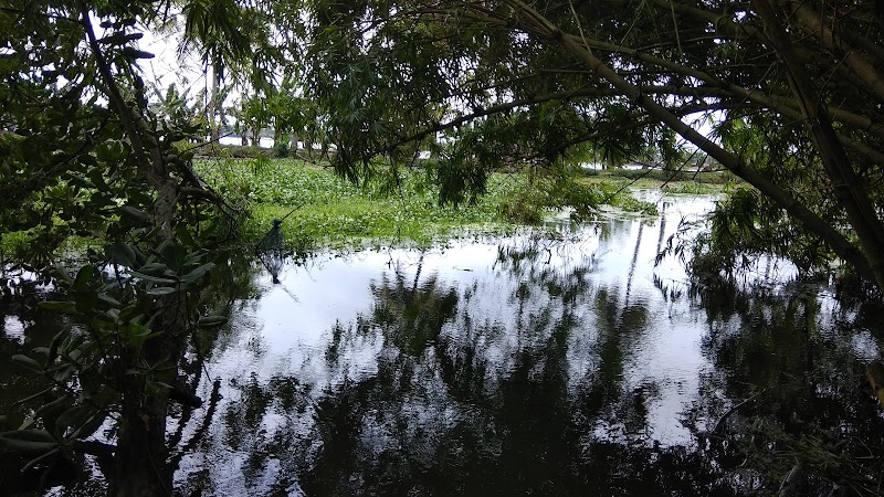 Our Land Island Backwater Boutique Resort property view