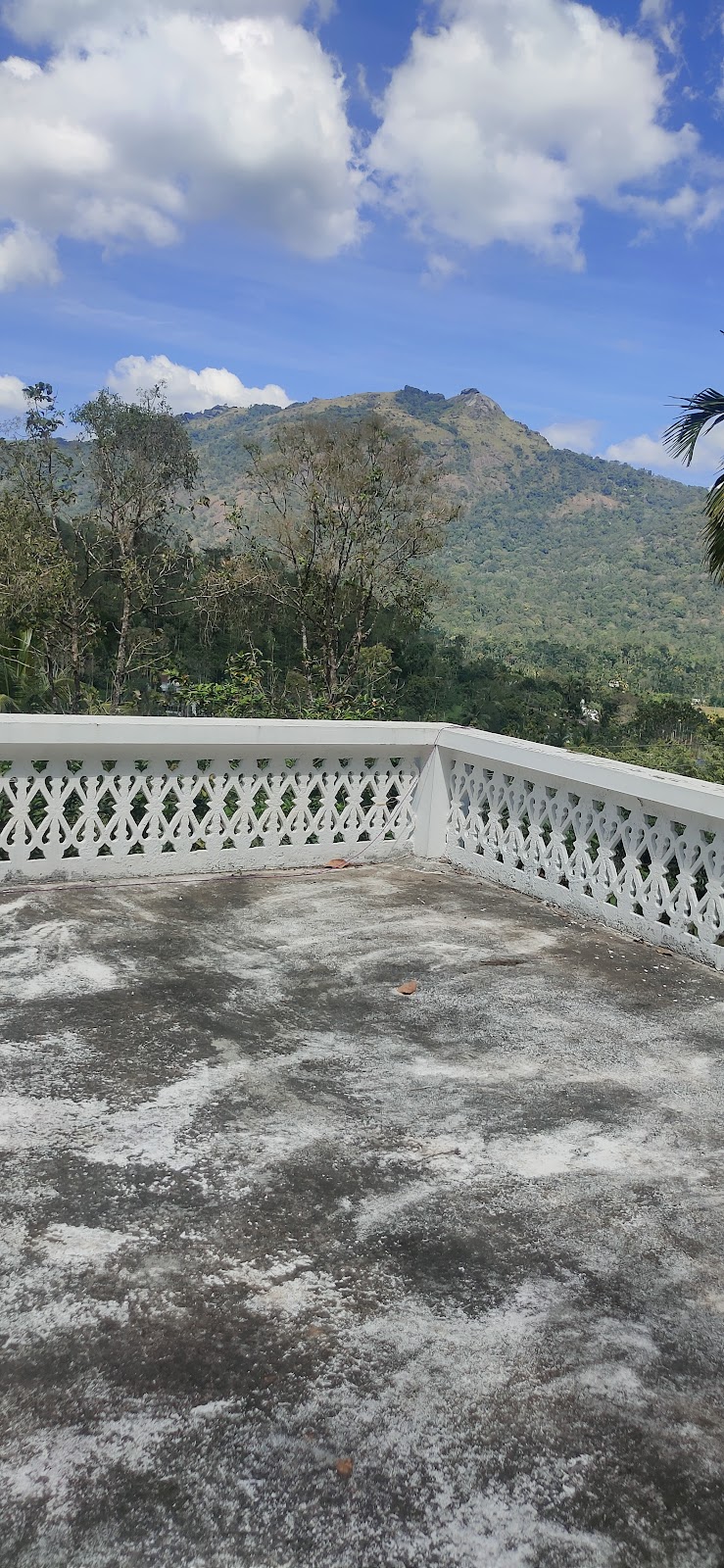 Natural Inn Holiday Homestay room