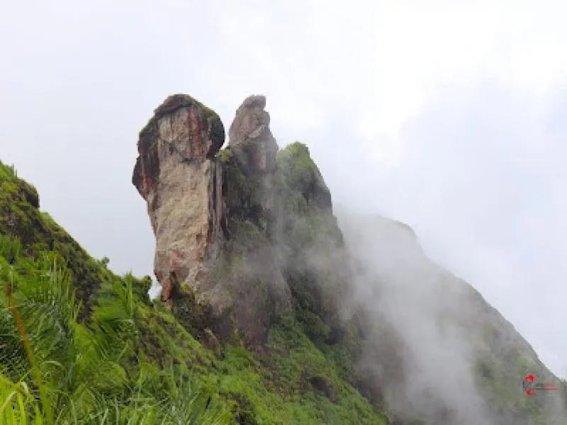 Illikkal Kallu travel assistance
