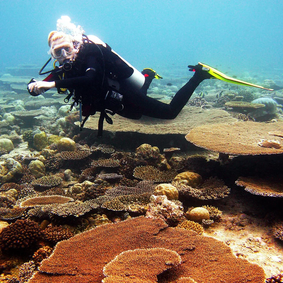 A scuba diver with breathing equipment swimming over a coral reef