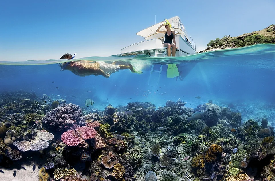 A snorkeller swimming at the surface above a coral reef
